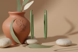 Olive Drops